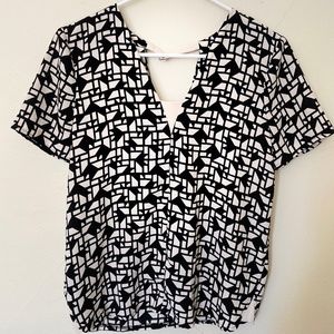 Zara V-Neck Top in Small